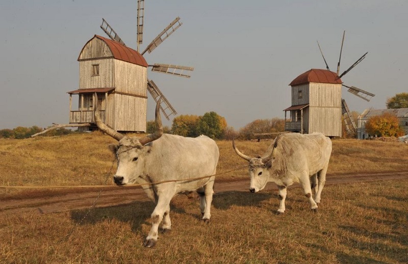 Козацькі землі України